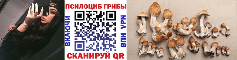 Галлюциногенные грибы прущие грибы  Микунь 